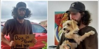 A homeless man outside Walmart asked for his dog’s help, and a kindhearted woman came to their rescue